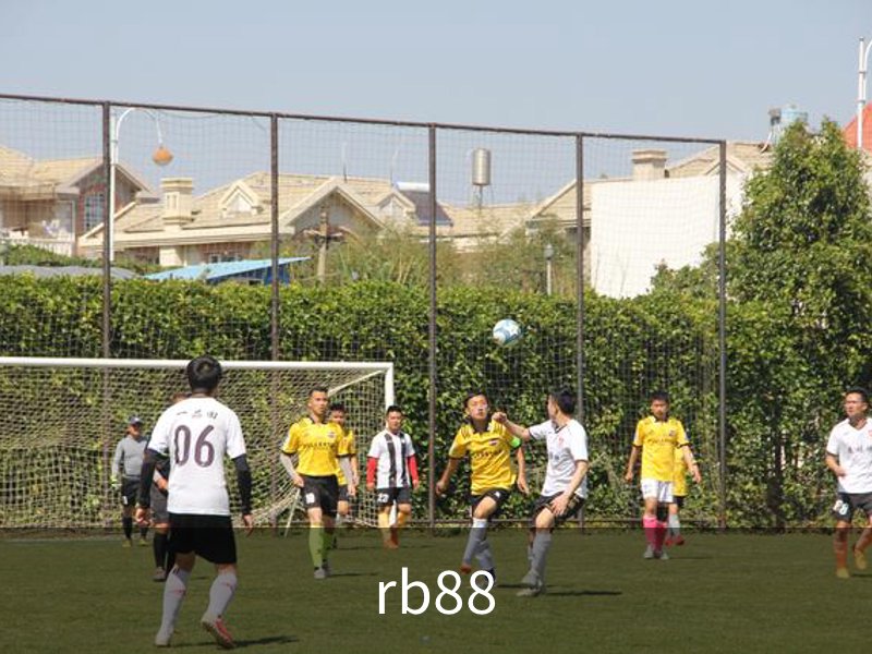rb88介绍